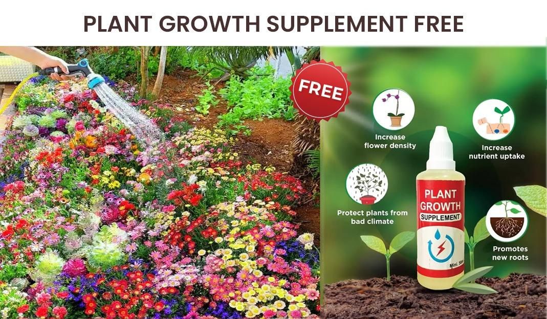 🌼 “Garden Lovers Special | 100 Colorful Flower Seeds + Free Plant Nutrition