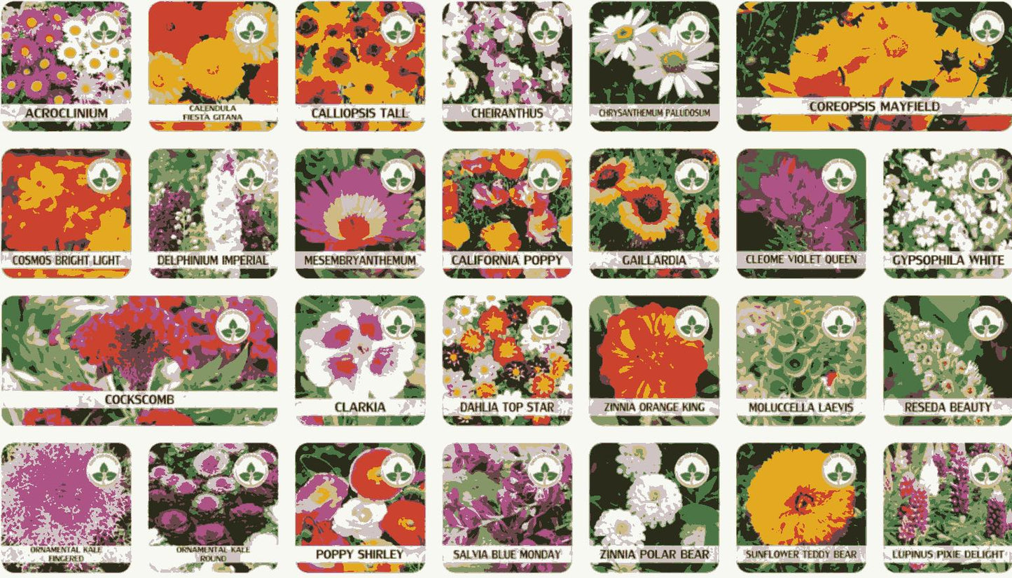 🌼 “Garden Lovers Special | 100 Colorful Flower Seeds + Free Plant Nutrition