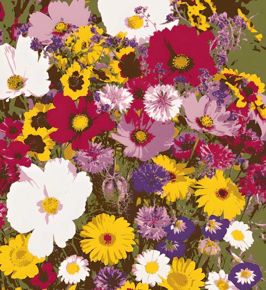 🌼 “Garden Lovers Special | 100 Colorful Flower Seeds + Free Plant Nutrition